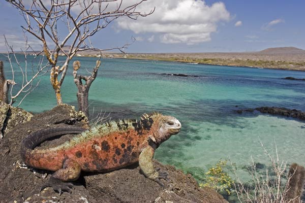 Island-hopping in the Galapagos