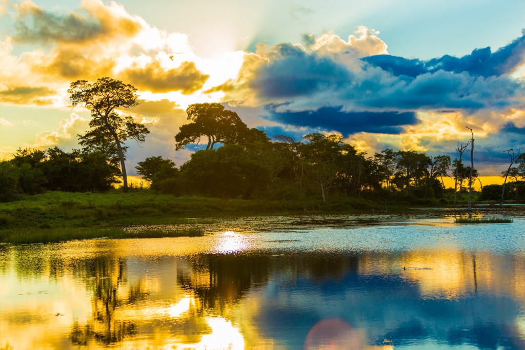 Pantanal, RealWorld, Sights worth getting up for in South America