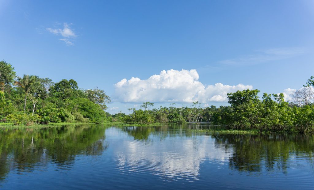 Northern Amazon river