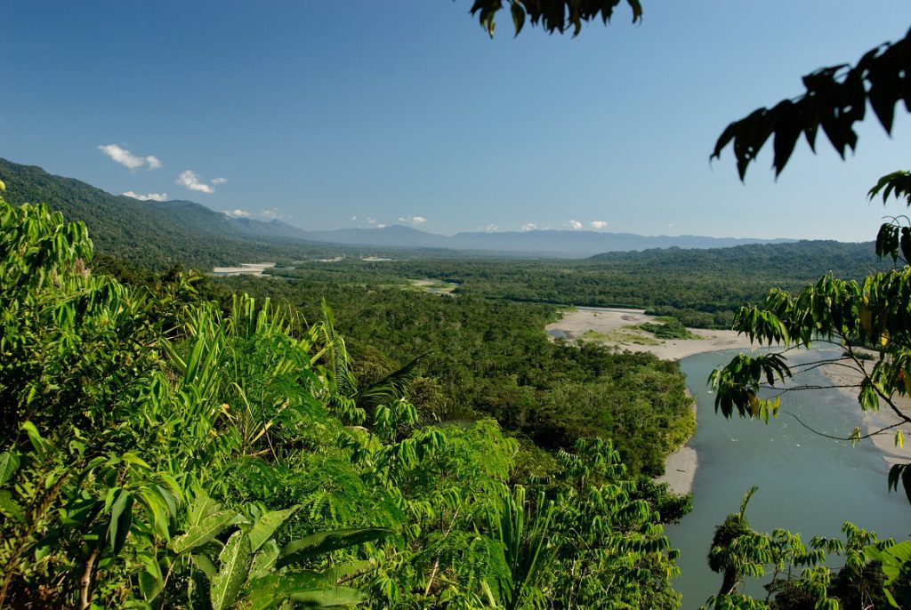 Manu Wildlife Reserve